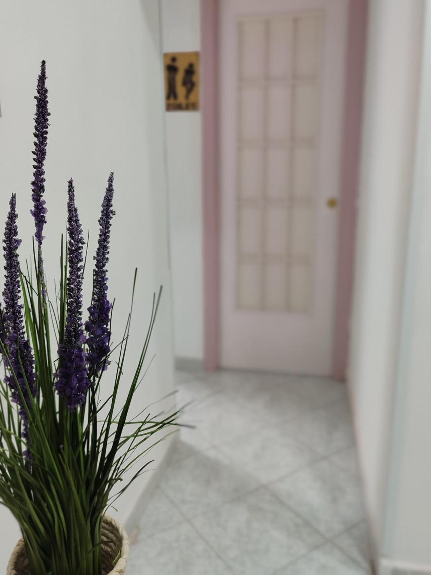 Casa Atri Spaccanapoli Centro Storico Apartment Naples